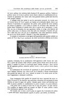 giornale/CFI0298588/1917/unico/00000123