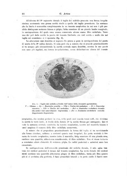 Rivista di patologia nervosa e mentale