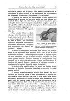 giornale/CFI0298588/1918/unico/00000147