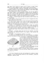giornale/CFI0298588/1918/unico/00000218