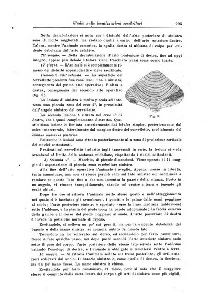 Rivista di patologia nervosa e mentale