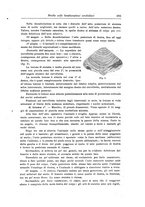 giornale/CFI0298588/1918/unico/00000221