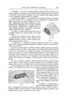 giornale/CFI0298588/1918/unico/00000223
