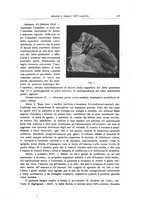 giornale/CFI0298588/1919/unico/00000011