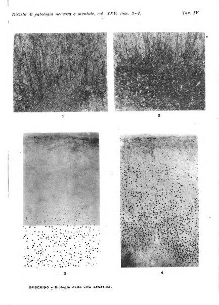 Rivista di patologia nervosa e mentale