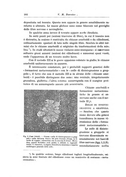 Rivista di patologia nervosa e mentale