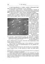 giornale/CFI0298588/1920/unico/00000238