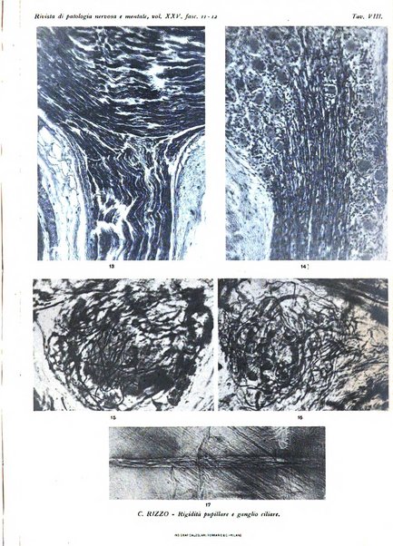 Rivista di patologia nervosa e mentale