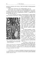 giornale/CFI0298588/1921-1922/unico/00000072