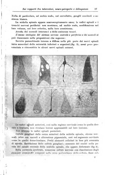 Rivista di patologia nervosa e mentale