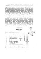 giornale/CFI0298588/1923-1924/unico/00000029