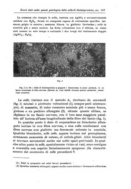 Rivista di patologia nervosa e mentale