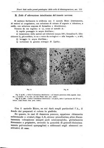 Rivista di patologia nervosa e mentale