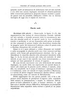 giornale/CFI0298588/1924/unico/00000345
