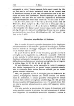 giornale/CFI0298588/1924/unico/00000370