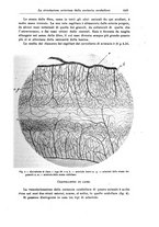 giornale/CFI0298588/1924/unico/00000491