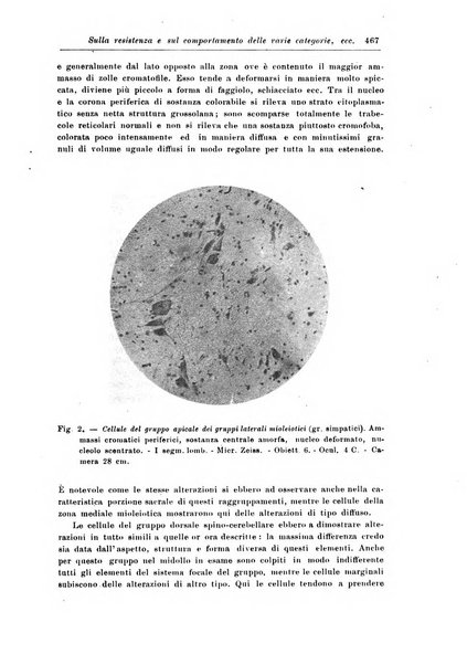 Rivista di patologia nervosa e mentale