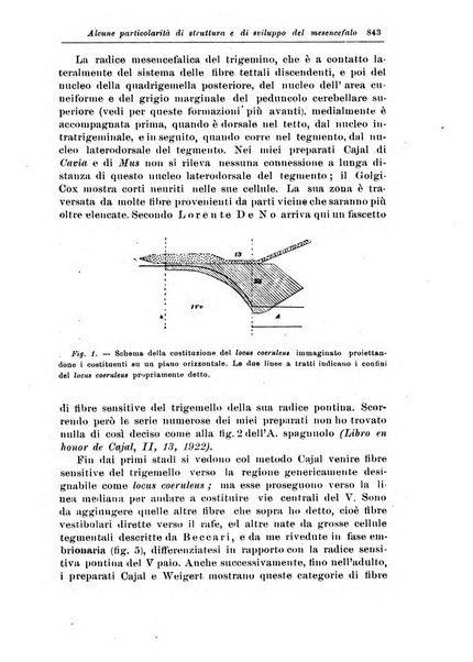 Rivista di patologia nervosa e mentale