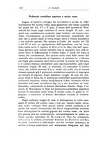 giornale/CFI0298588/1924/unico/00000900