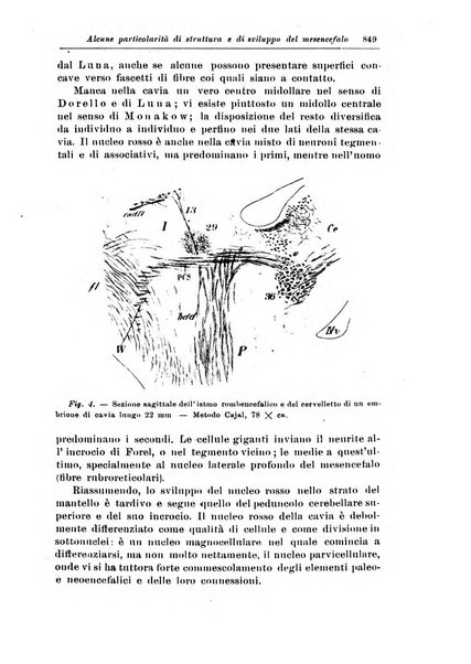 Rivista di patologia nervosa e mentale