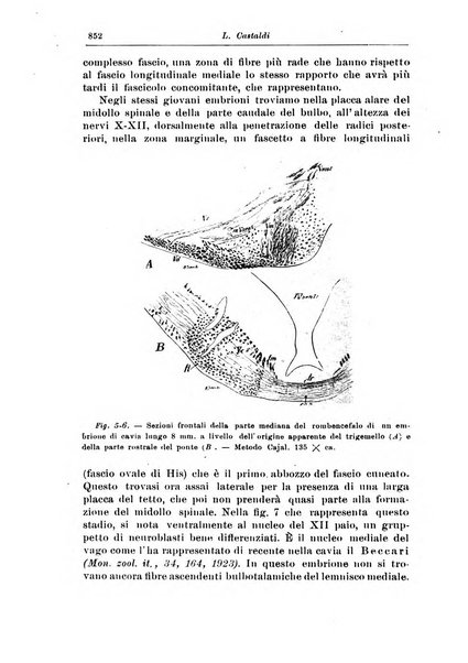 Rivista di patologia nervosa e mentale