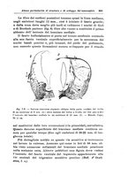 giornale/CFI0298588/1924/unico/00000905