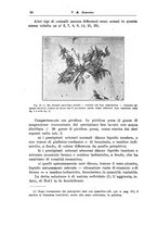 giornale/CFI0298588/1925/unico/00000040