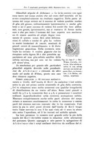 giornale/CFI0298588/1925/unico/00000127