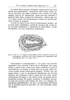 giornale/CFI0298588/1925/unico/00000143