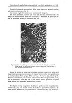 giornale/CFI0298588/1926/unico/00000165