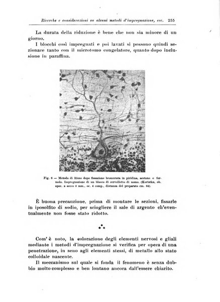 Rivista di patologia nervosa e mentale