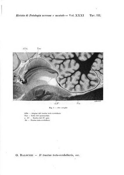 Rivista di patologia nervosa e mentale