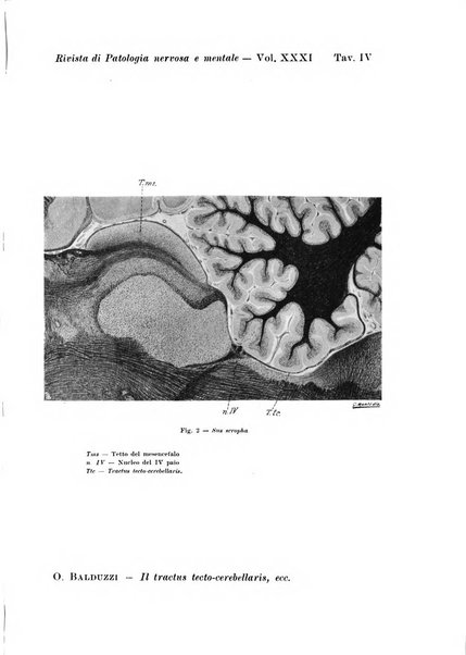 Rivista di patologia nervosa e mentale