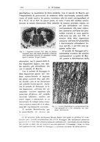 giornale/CFI0298588/1927/unico/00000204