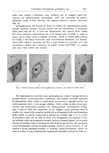 Rivista di patologia nervosa e mentale