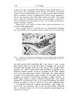 giornale/CFI0298588/1927/unico/00000206