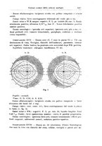 giornale/CFI0298588/1927/unico/00000465