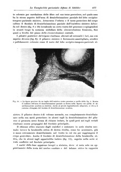 Rivista di patologia nervosa e mentale