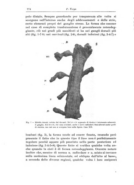 Rivista di patologia nervosa e mentale