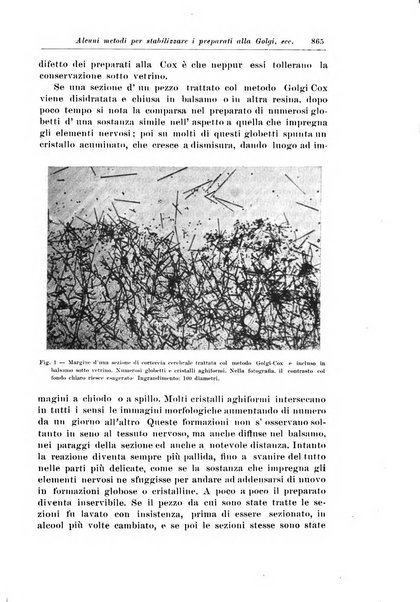 Rivista di patologia nervosa e mentale