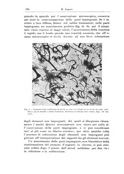 Rivista di patologia nervosa e mentale