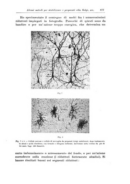 Rivista di patologia nervosa e mentale