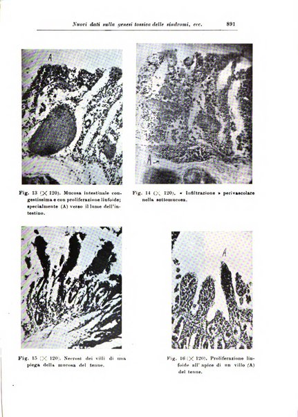 Rivista di patologia nervosa e mentale