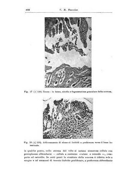 Rivista di patologia nervosa e mentale