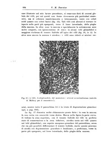 Rivista di patologia nervosa e mentale