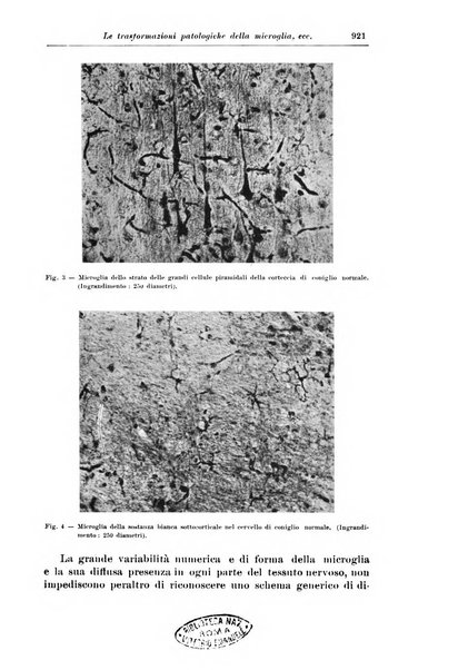 Rivista di patologia nervosa e mentale