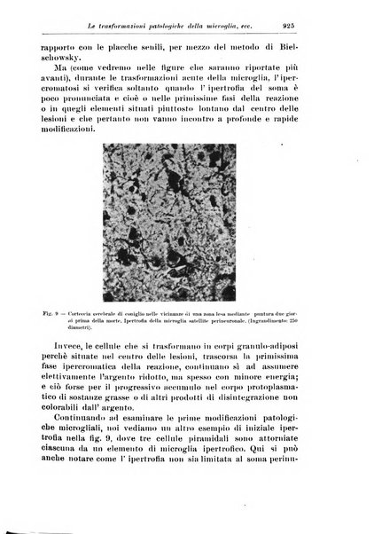 Rivista di patologia nervosa e mentale