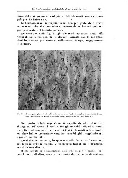 Rivista di patologia nervosa e mentale