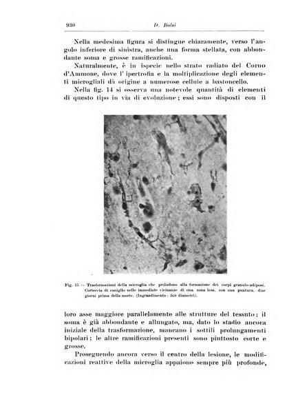 Rivista di patologia nervosa e mentale