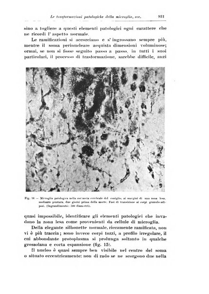 Rivista di patologia nervosa e mentale